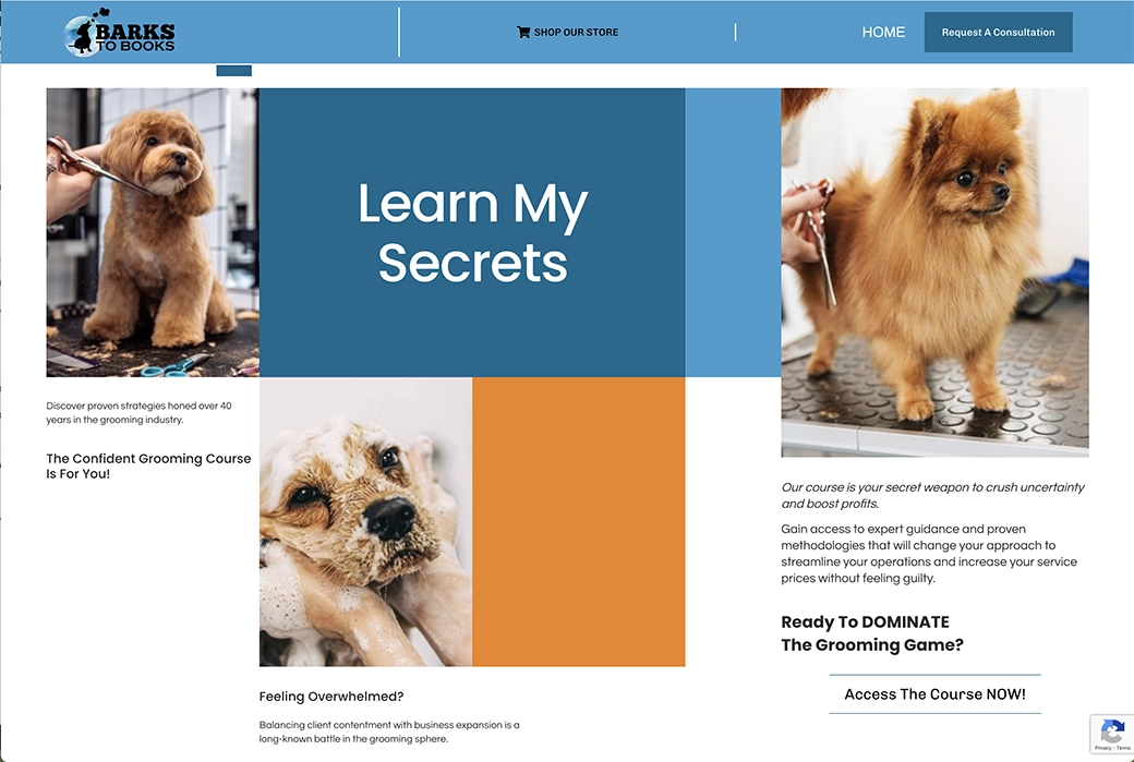 Barks to Books' website has a link to their course, but stays playful