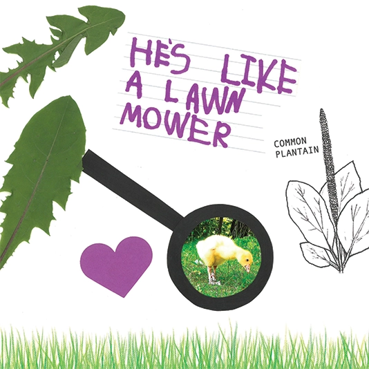 Bonnie Boyd’s first book, The Nibbler: A Story of a Curious Goose,. Bonnie took photos and her students’ artwork to help illustrate Ben’s story!