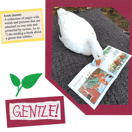 Bonnie Boyd’s first book, The Nibbler: A Story of a Curious Goose,. Bonnie took photos and her students’ artwork to help illustrate Ben’s story!